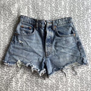 Zara Shorts